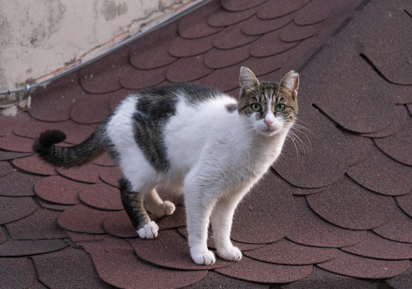 How does location impact real estate investment returns?